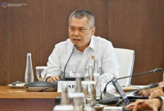 Armada Dalam Negeri Terbatas, Puluhan Pesawat Asing Dikerahkan