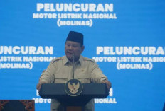 Tekan Impor BBM hingga Rp536 Triliun, Prabowo Siapkan Kredit Motor Listrik Tanpa DP