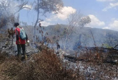 Api Bergerak ke Savana Cikasur, Pendakian Gunung Argopuro Ditutup
