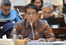 Karhutla Meluas, Menkeu Pastikan Anggaran Bencana Bisa Ditambah