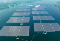 Target PLTS 100 GW Jadi Arah Baru Energi Nasional, Revisi RUEN Dikebut Rampung September