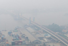 BMKG Ungkap Udara Palembang Masuk Kategori Hitam, Asap Karhutla Mulai Ancam Warga