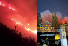 Karhutla Ijen Capai 20 Hektare, Pemadaman Dikepung Angin Kencang dan Kabut Tebal
