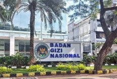 Anggaran BGN Lampaui Gabungan Anggaran Kementerian PU dan Kesehatan