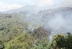 Karhutla Kembali Muncul di Lereng Bromo, Titik Api Sulit Dijangkau Petugas
