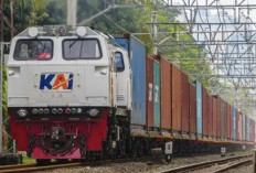 KAI Siapkan Kereta Ternak Banyuwangi-Jakarta, DPR Soroti Standar Angkut Hewan