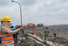 184 Kali Kebakaran Terjadi di Jatim, Pemerintah Siapkan Langkah Jangka Panjang