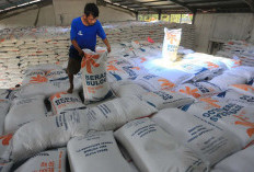Bulog Perkuat Pasokan Beras Premium di Jatim, Ribuan Ton Siap Masuk Ritel