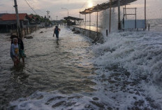 BMKG Peringatkan Bahaya Laut Jatim, Gelombang Tinggi hingga Rob