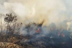 Tebing Curam dan Kabut Tebal Jadi “Benteng” Api di Gunung Semeru