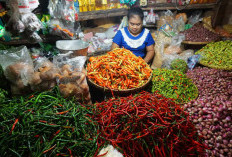 Pemkot Malang Libatkan Pedagang Dalam Strategi Tekan Harga Cabai dan Kendalikan Inflasi