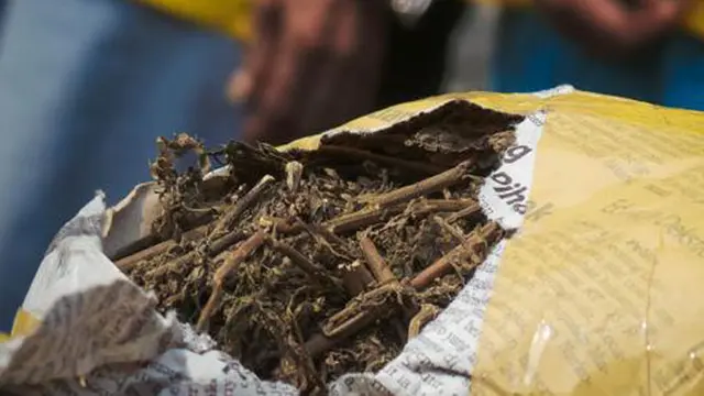 Polresta Malang Kota Gagalkan Peredaran Ganja Kering Dengan Berat Kurang Lebih 11 Kg  