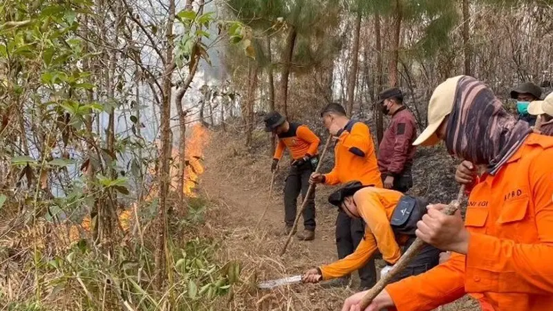 Tim Gabungan BPBD Jatim Lakukan Berbagai Upaya Hentikan Persebaran Api di Gunung Lawu