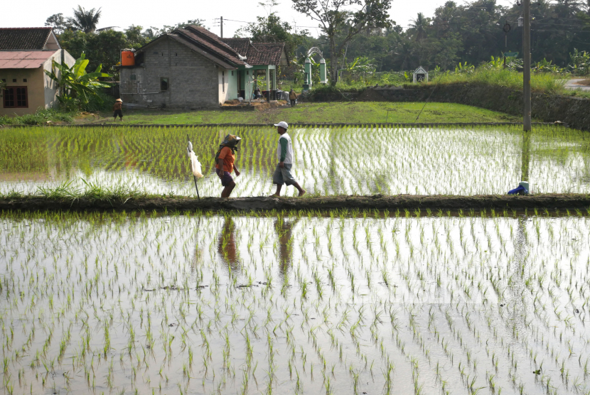 BMKG Prediksi Puncak Musim Kemarau Bulan Ini Sampai September