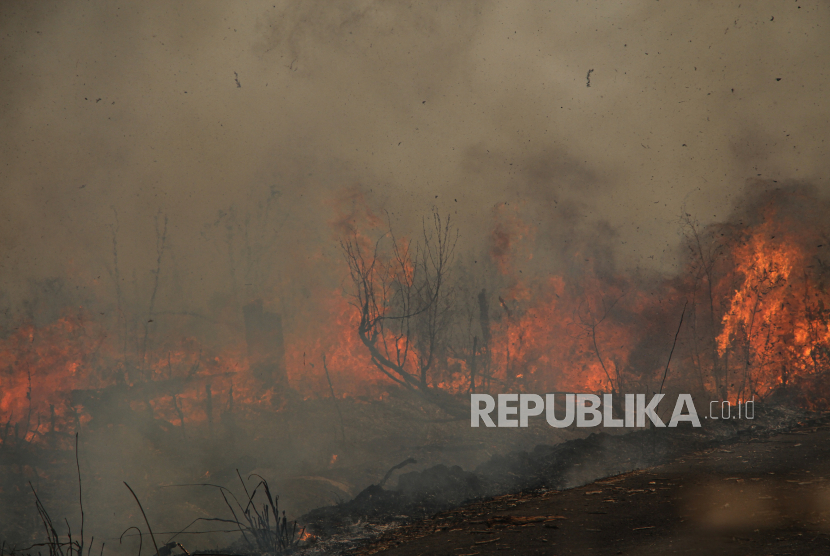 3 Lokasi Karhutla di Palangkaraya Diselidiki