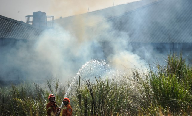 TERJADI 28 KASUS KEBAKARAN LAHAN DI KABUPATEN BANDUNG DI JULI-AGUSTUS 2023