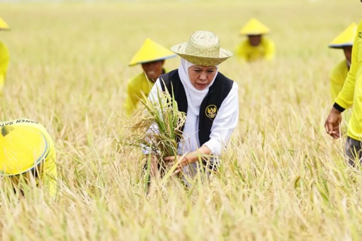 Jawa Timur Diresmikan Sebagai Lumbung Pangan Nasional