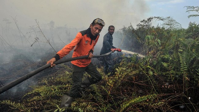 4 Orang Ditangkap Terkait Kasus Karhutla Di Jambi