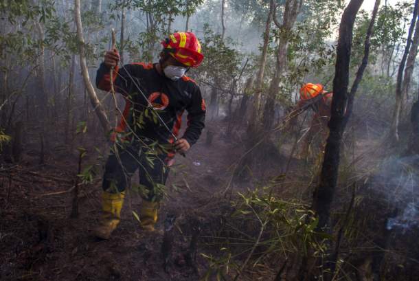 Ribuan Hektare Lahan Di Kalimantan Selatan Terbakar Sejak Juni 2023