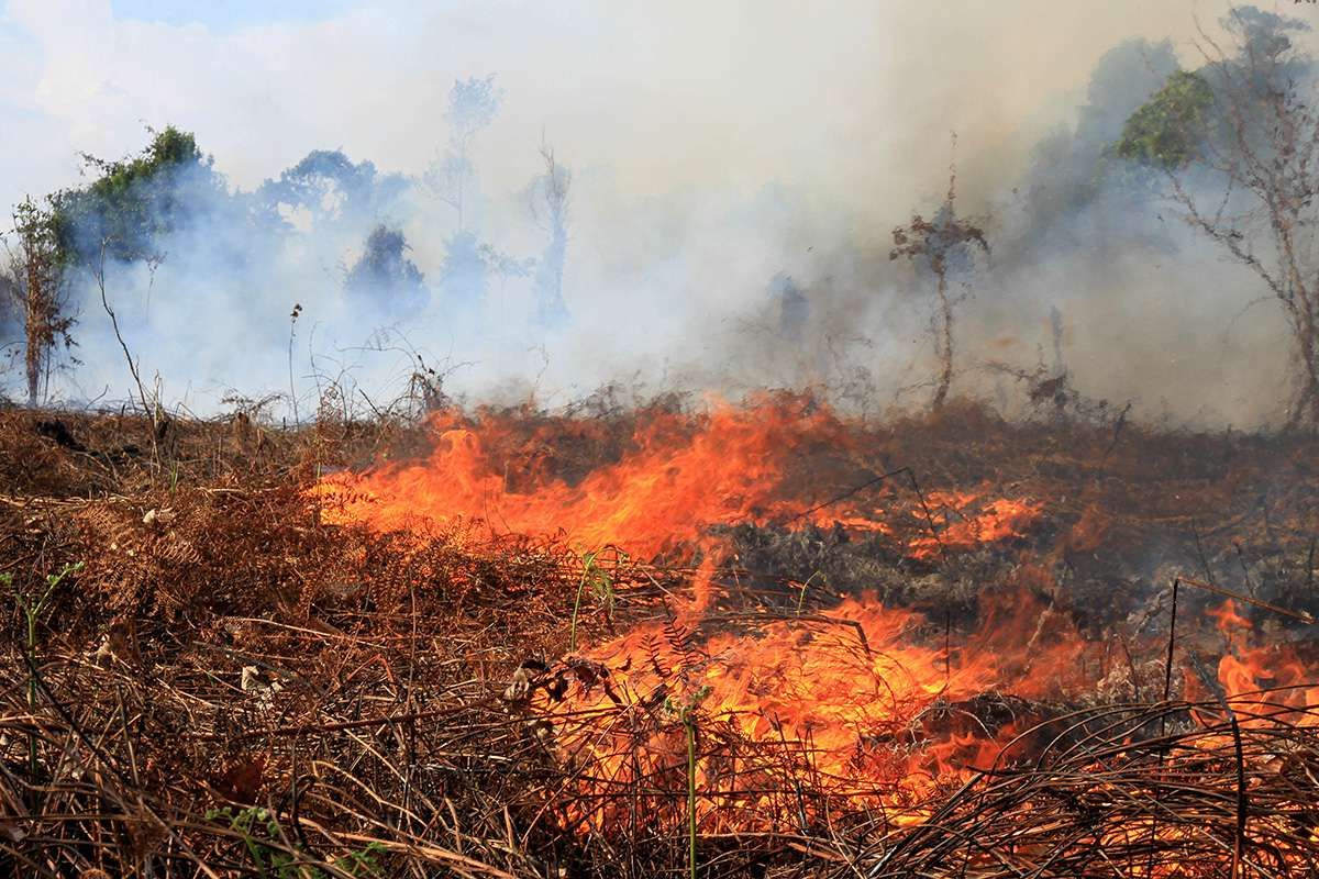 Tahun Ini Kebakaran di Kota Malang Meningkat Dibanding Tahun Sebelumnya