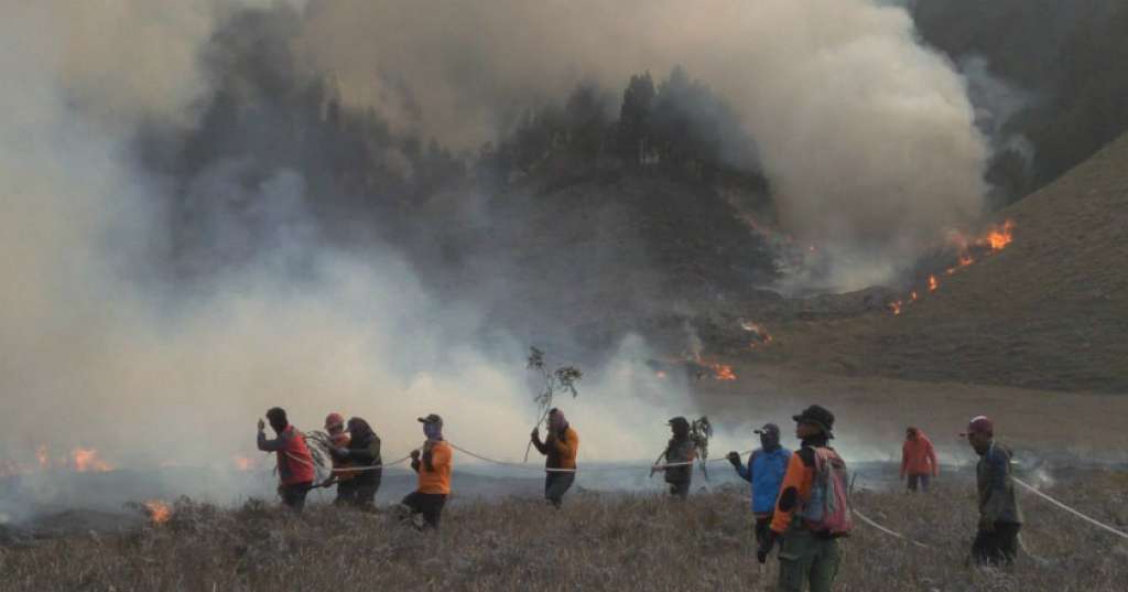 Penyidik Polda Jatim Masih Terus Usut Kasus Karhutla Bromo