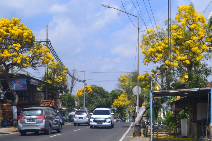 Tabibuya Mekar, Kota Batu Makin Indah