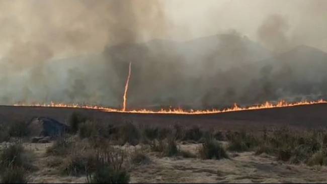 Tornado Api Di Gunung Bromo Mirip Fenomena Dust Devil