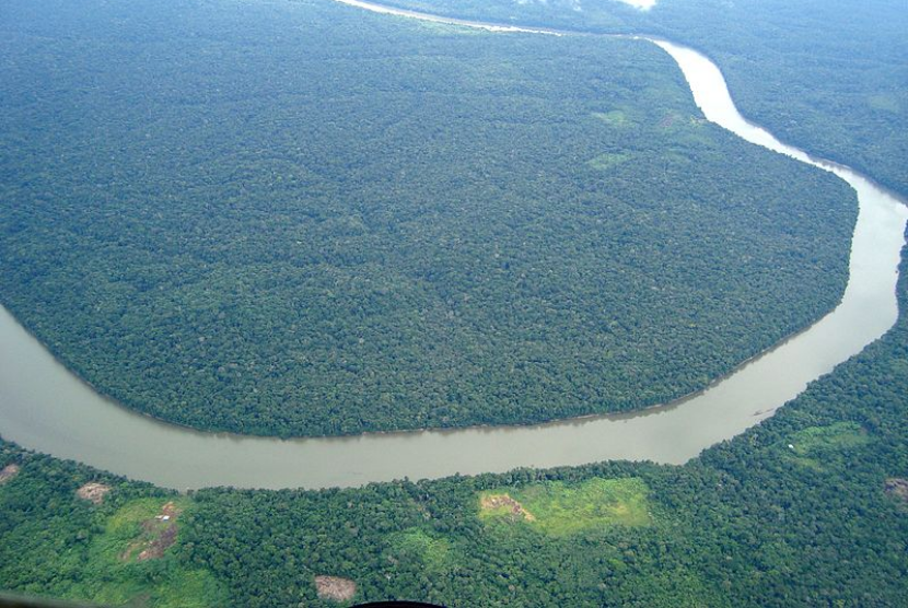 Sekitar 500 Ribu Orang Terdampak Kekeringan Parah Di Hutan Amazon