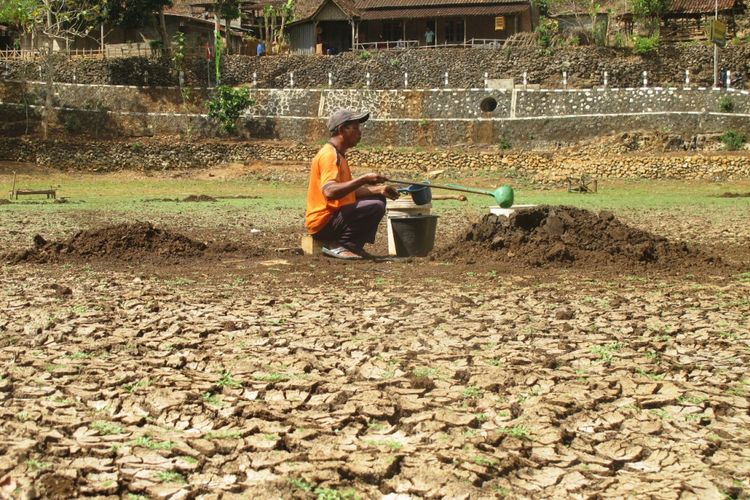 Maret-Mei 2024 Diprediksi El Nino Lebih Ekstrem