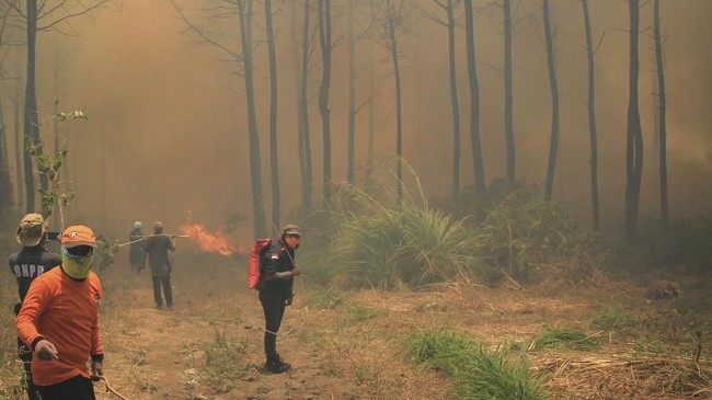 Gunung Ciremai Terbakar Sampai 102 Hektar