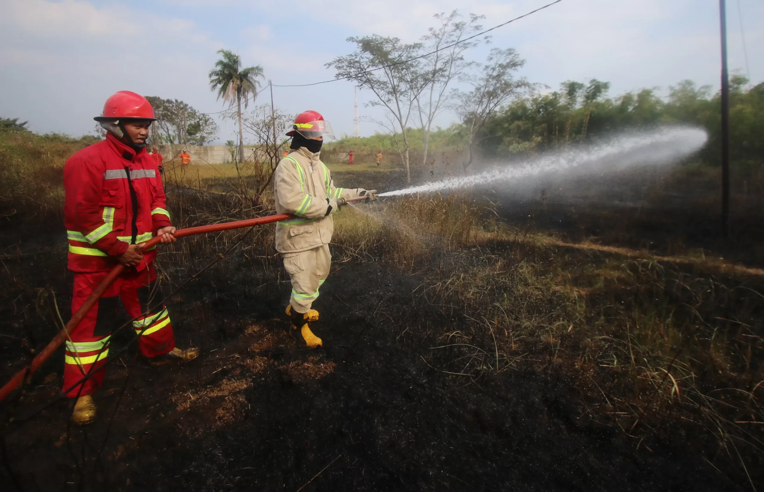 Selama 3 Bulan Kebakaran Di Kota Malang Meningkat Sampai 3 Kali Lipat