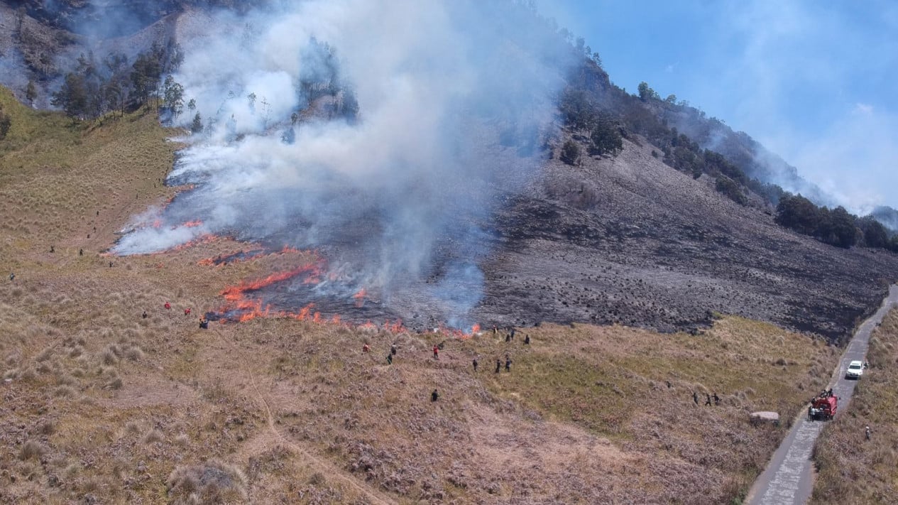 Wisata Gunung Bromo Ditutup Total Karena Padang Savana Kembali Terbakar