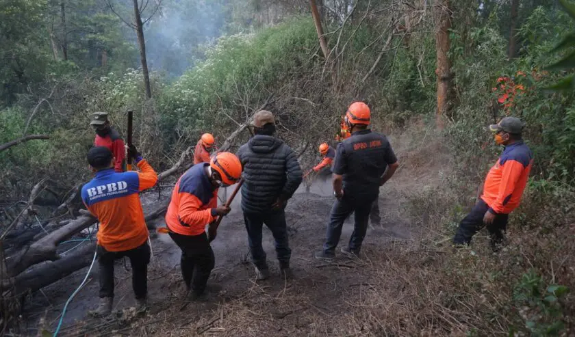 Khofifah Tegaskan BNPB Pastikan Karhutla TNBTS Benar-Benar Padam