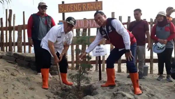 Cegah Abrasi Bupati Malang Tanam Mangrove di Pantai Bajulmati