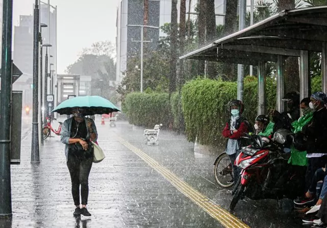 Kemarin Hujan Deras, Jalanan Kota Malang Tergenang dan Satu Pohon Tumbang