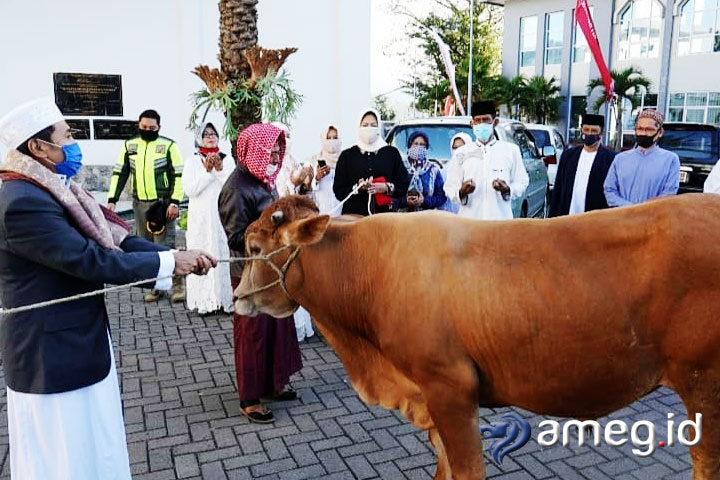 Ini Dia Tata Cara Penyembelihan Hewan Qurban di Kota Batu