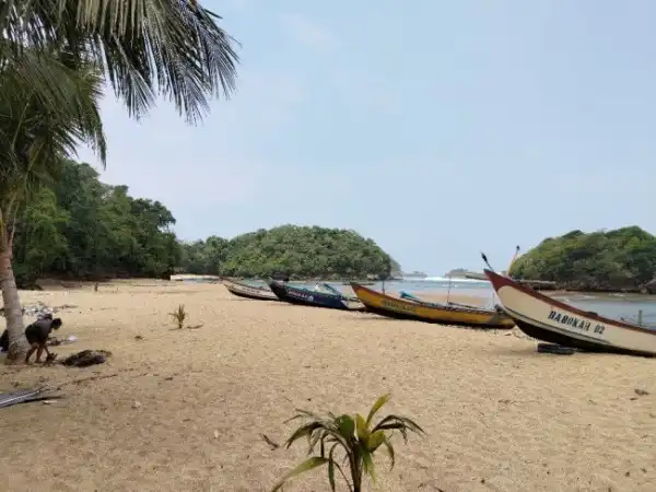 PLN Mengkaji Upaya Penyediaan Listrik di Wisata Malang Selatan