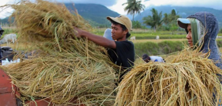 Petani Milenial Terbanyak di Indonesia Berada Jatim