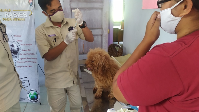 Peringati Hari Rabies Sedunia, Pemkot Bandung Gelar Vaksin Rabies Gratis