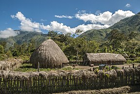 Pemerintah Pusat Bakal Sampaikan Bantuan Pangan Ke Warga Pegunungan Papua