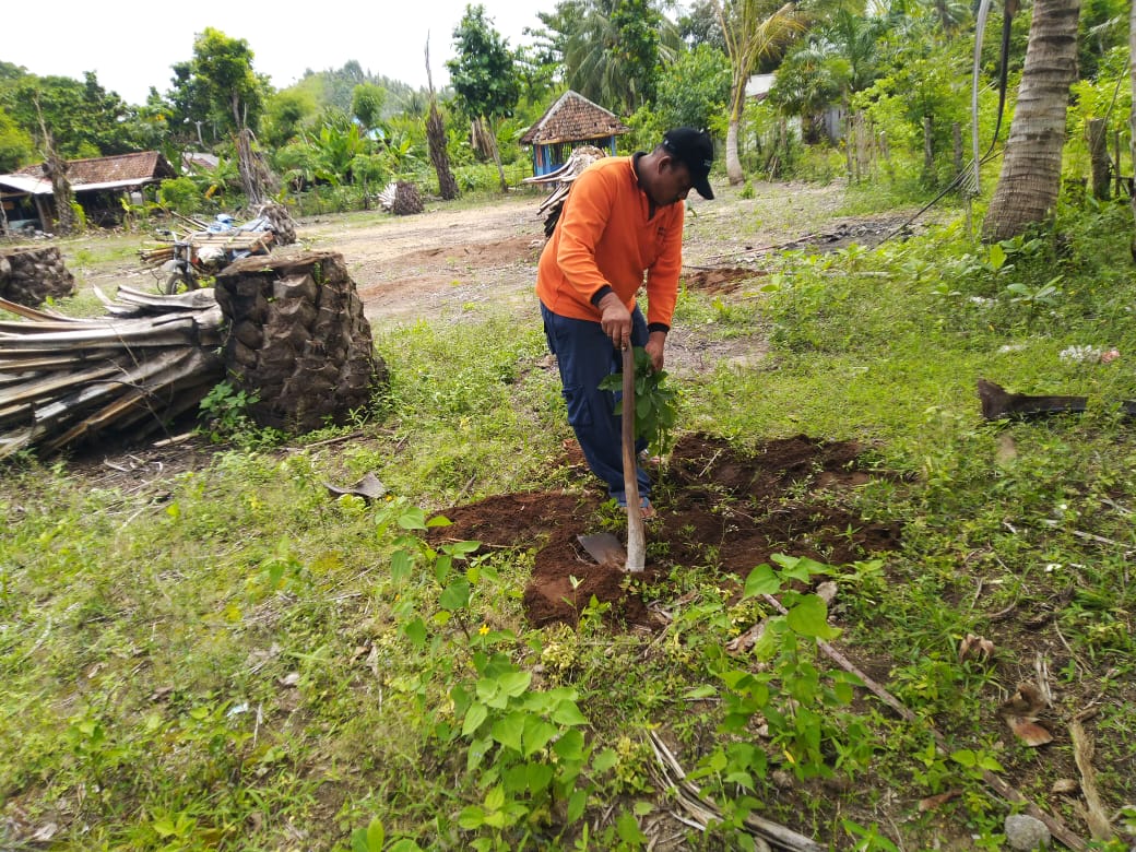 Rencana Pembangunan Pabrik Sawit di Malang Selatan Terus Dikritisi