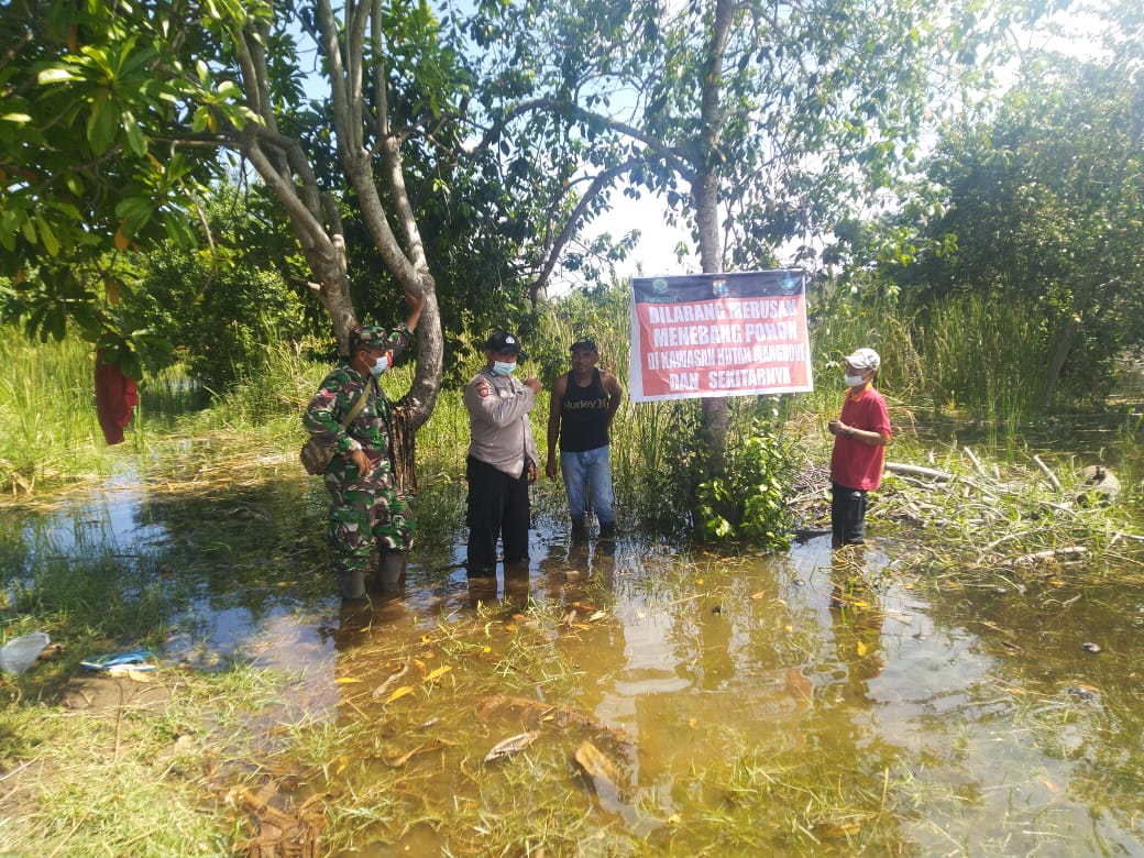 Kawasan Pesisir Malang Selatan Minim Benteng Hijau