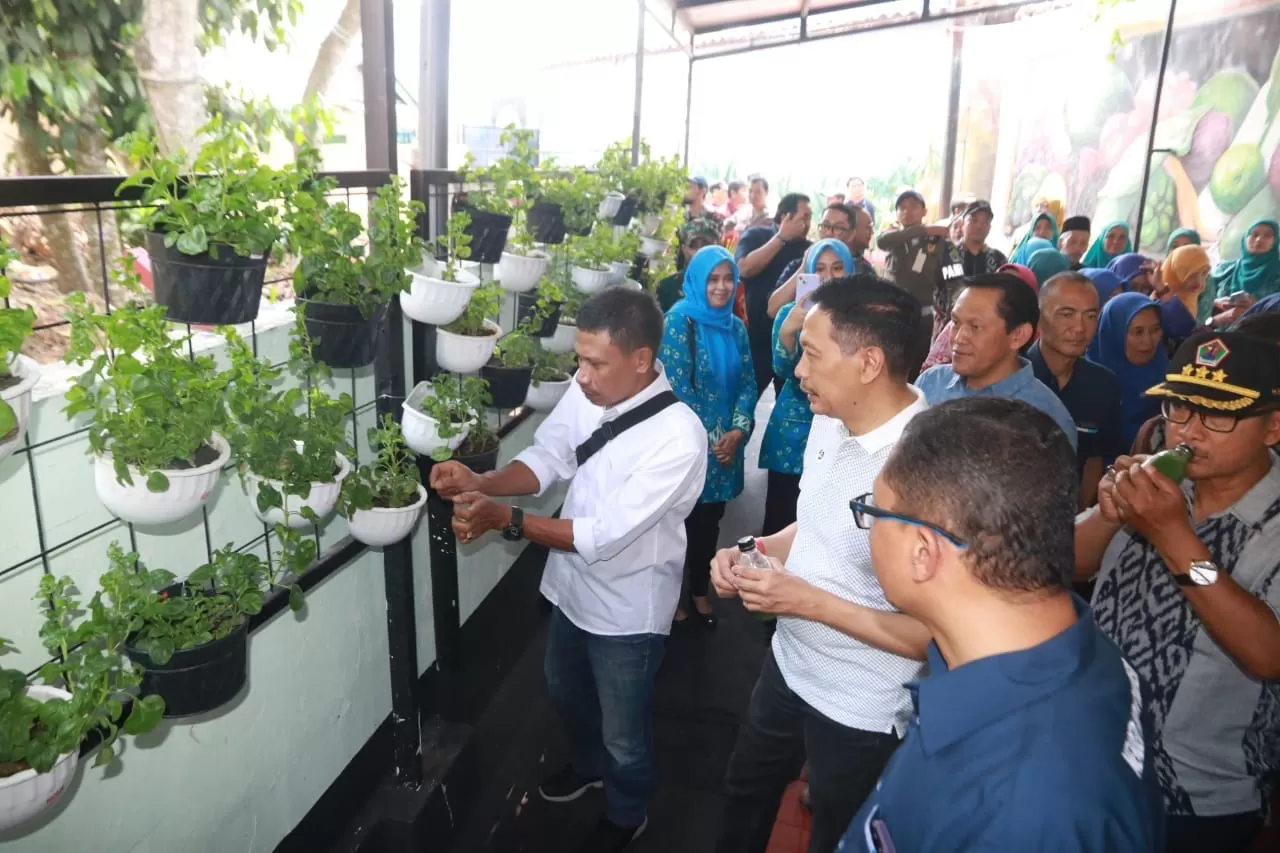 Urban Farming Semakin Digencarkan di Kota Malang