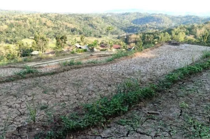 Kementan Berikan Pompa Alkon Untuk Petani Jatim