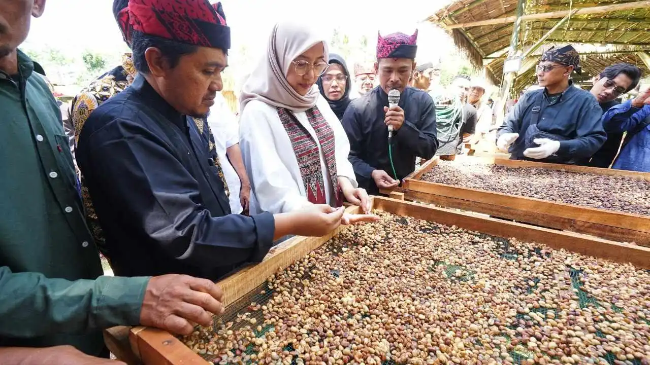 Banyuwangi Sedang Upayakan Hak Paten Indikasi Geografis Kopi Robusta