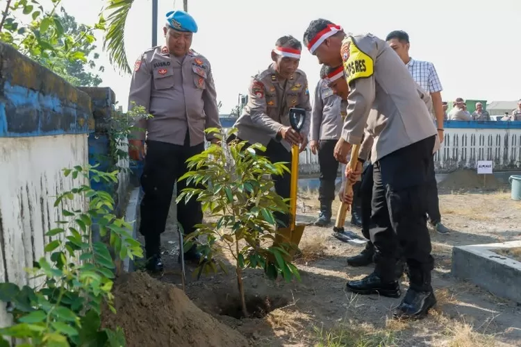 Ribuan Pohon Ditanam Untuk Tekan Polusi Udara Di Jombang