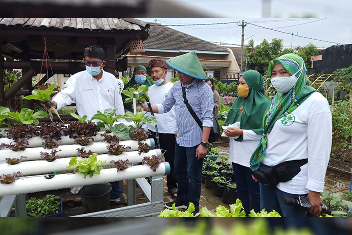 Eep Saefulloh Panen Sayur di Kampung 3G, Baca Puisi Pelarian di Cafe