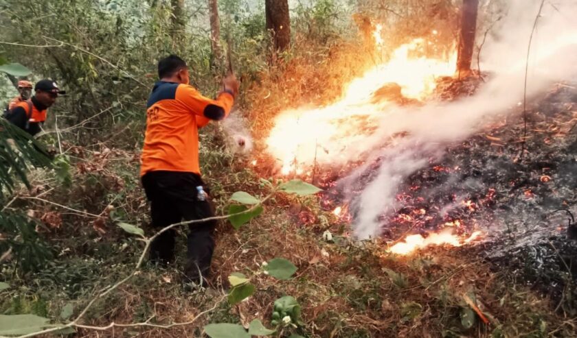 Dalam Tiga Bulan Ada Puluhan Kasus Karhutla Di Trenggalek