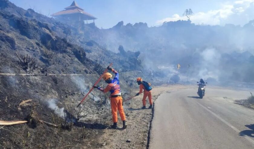 Penyebab Kebakaran Gunung Ijen Masih Belum Diketahui