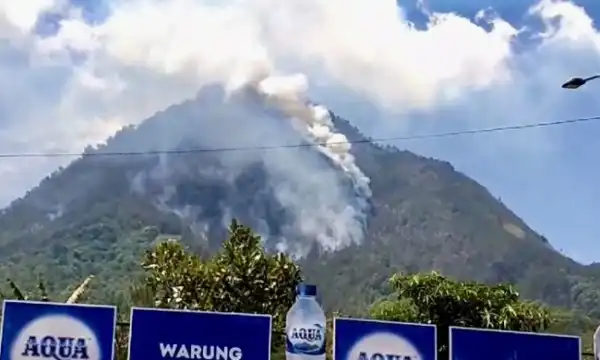 Tim Gabungan Kesulitan Jangkau Lokasi Kebakaran Di Gunung Panderman